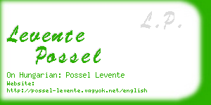 levente possel business card